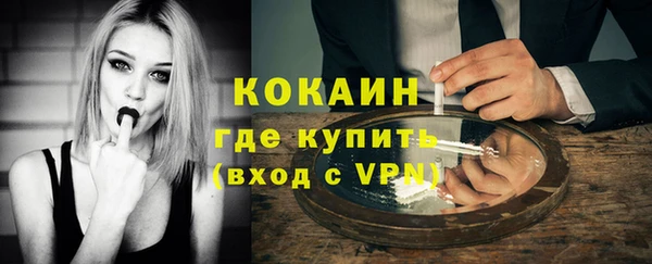 бошки Пересвет